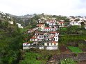 Madeira (97)
